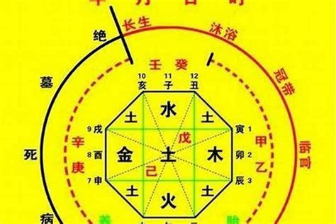 六字算命|生辰八字算命、五行喜用神查询（免费测算）